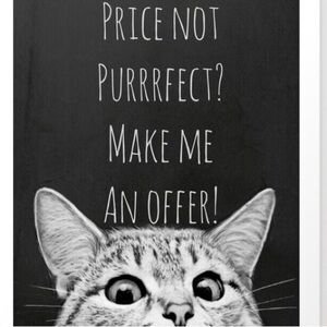 Meet your Posher, Mason